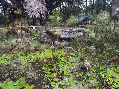 波阿广场度假村及酒店 - 自然与舒适的结合主图