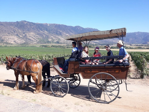 Viña Santa Cruz-Lolol必去景点