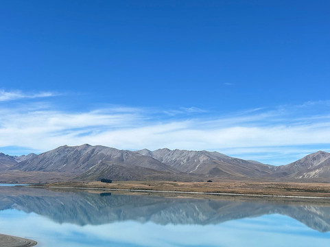 Wild Kiwi Tours-奥克兰中心地区必去景点