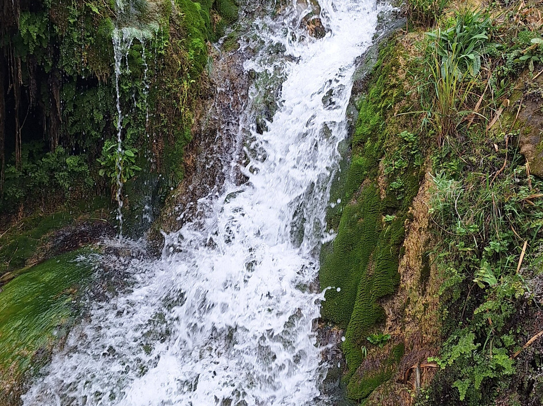 l'Algar Waterfalls-Callosa d'En Sarria必去景点