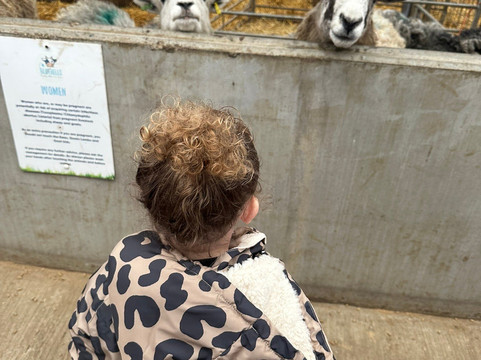 Bluebell Dairy Farm-德比必去景点