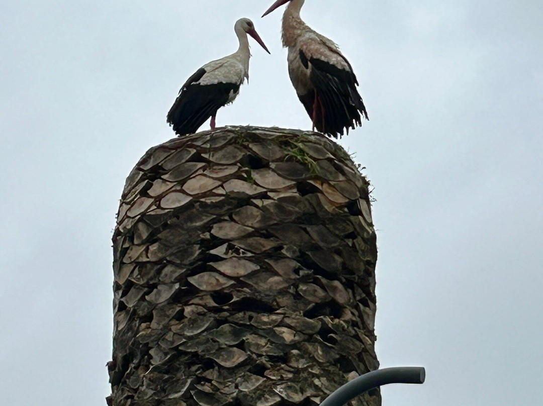 巴托洛梅乌旅馆主图