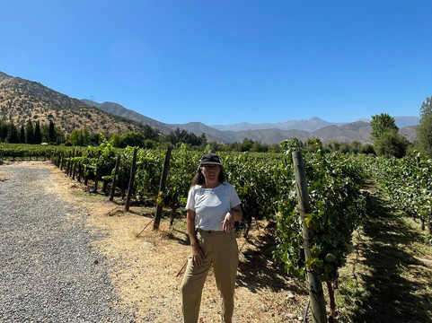 Bodega Wine Tours-圣地亚哥必去景点