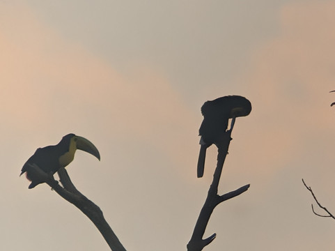 Panama Road Trips-巴拿马城必去景点