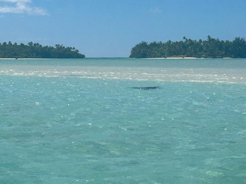 Silent One Lagoon Charters-艾图塔基必去景点