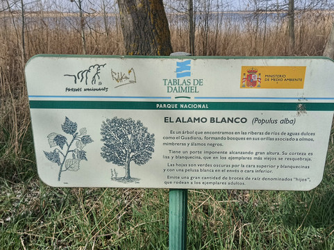 Parque Nacional de las Tablas de Daimiel-Daimiel必去景点