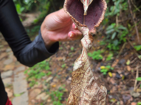 Rio Litoral Tour-安格拉杜斯雷斯必去景点