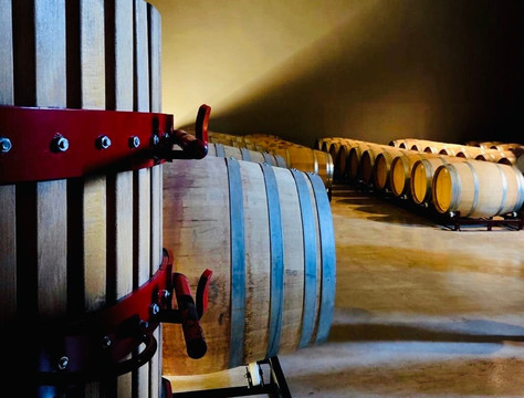 NOVOS - Boutique winery and tastings-Requena必去景点