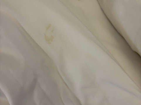 舒适酒店格伦蒙特 - 奥尔巴尼南主图