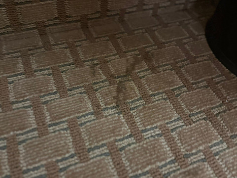 南萨莱纳舒适套房酒店主图