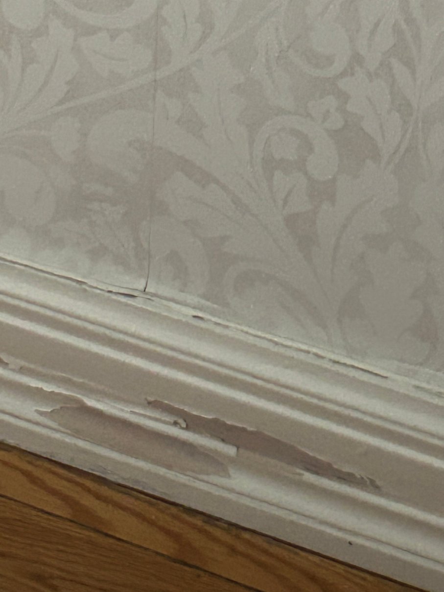 里佩科夫 SPA 酒店-官方