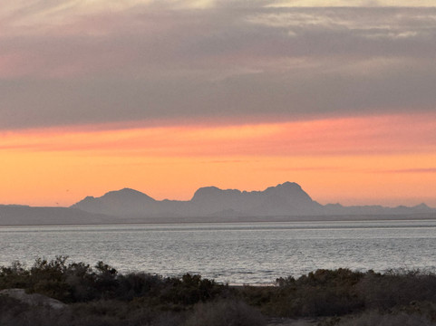 Pure Baja Travels-San Ignacio必去景点