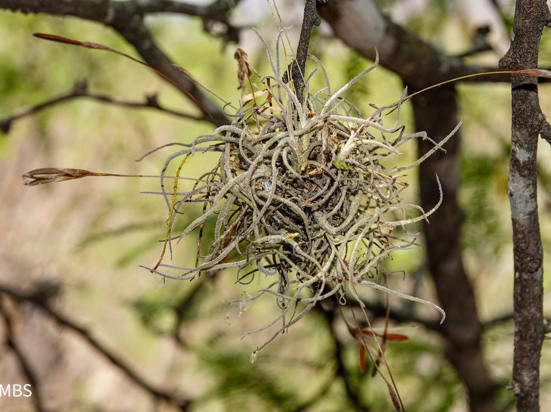 Zapotrek-瓦哈卡必去景点