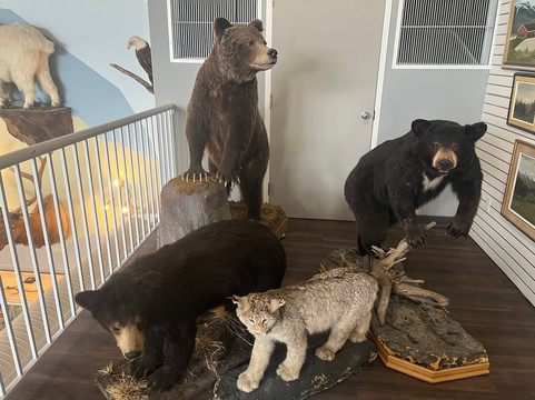 Grande Cache Tourism and Interpretive Centre-大卡什必去景点