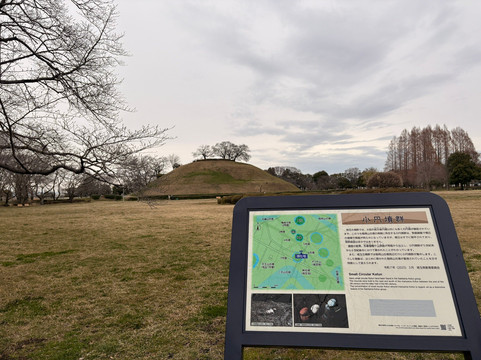 Sakitama Kofun Park-行田市必去景点
