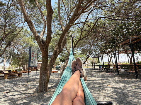 Dromedarius-伊卡必去景点