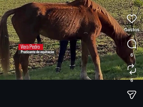 Herdade do Pessegueiro-Porto Covo必去景点