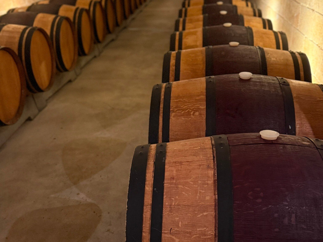 HALL Rutherford-拉瑟福德必去景点