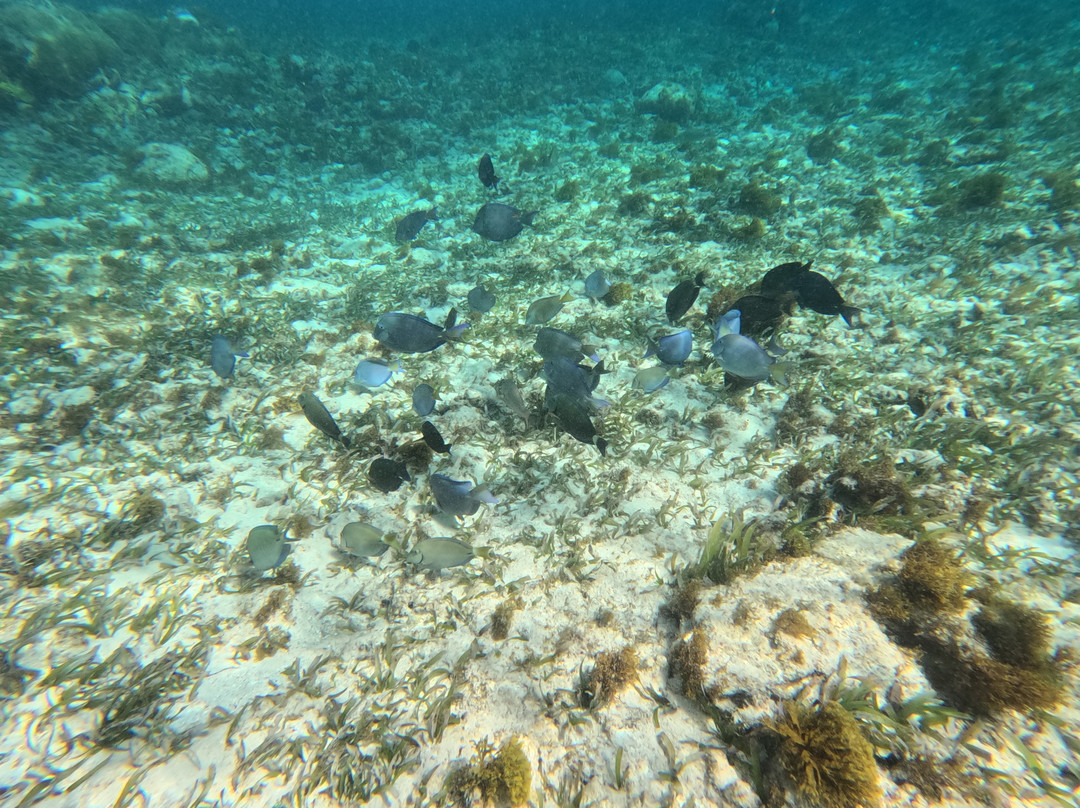 Caribe Extremo-圣安德烈斯必去景点