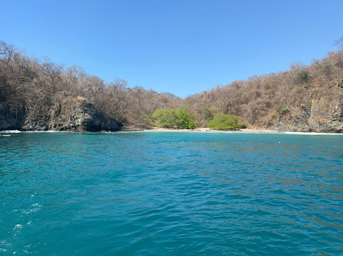 Mr Pelicano Boat Tours-Playa Flamingo必去景点