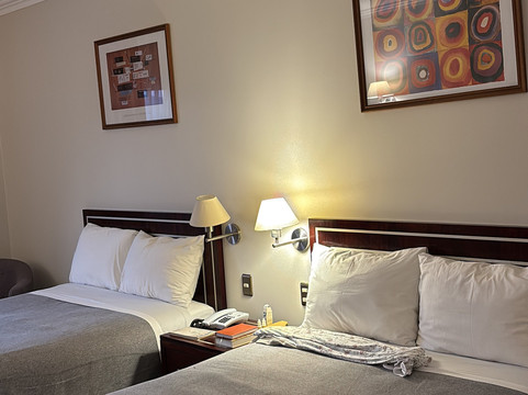 迭戈阿尔马格罗瓦尔迪维亚酒店主图