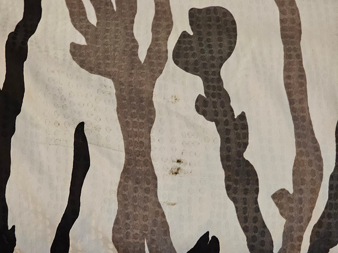 皮姆利科赛马场附近凯艺酒店主图