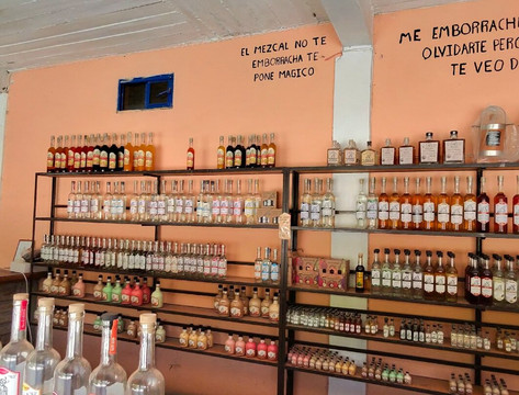 Shenic Tours-瓦哈卡必去景点