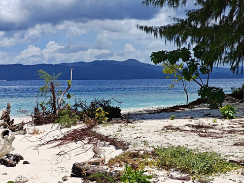 Adelaar | Raja Ampat & Komodo Liveaboard-Serangan必去景点