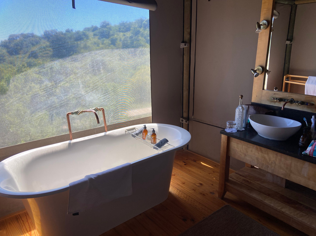 Bukela Game Lodge - Amakhala Game Reserve