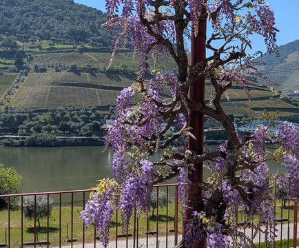 Quinta do Bomfim-Pinhao必去景点