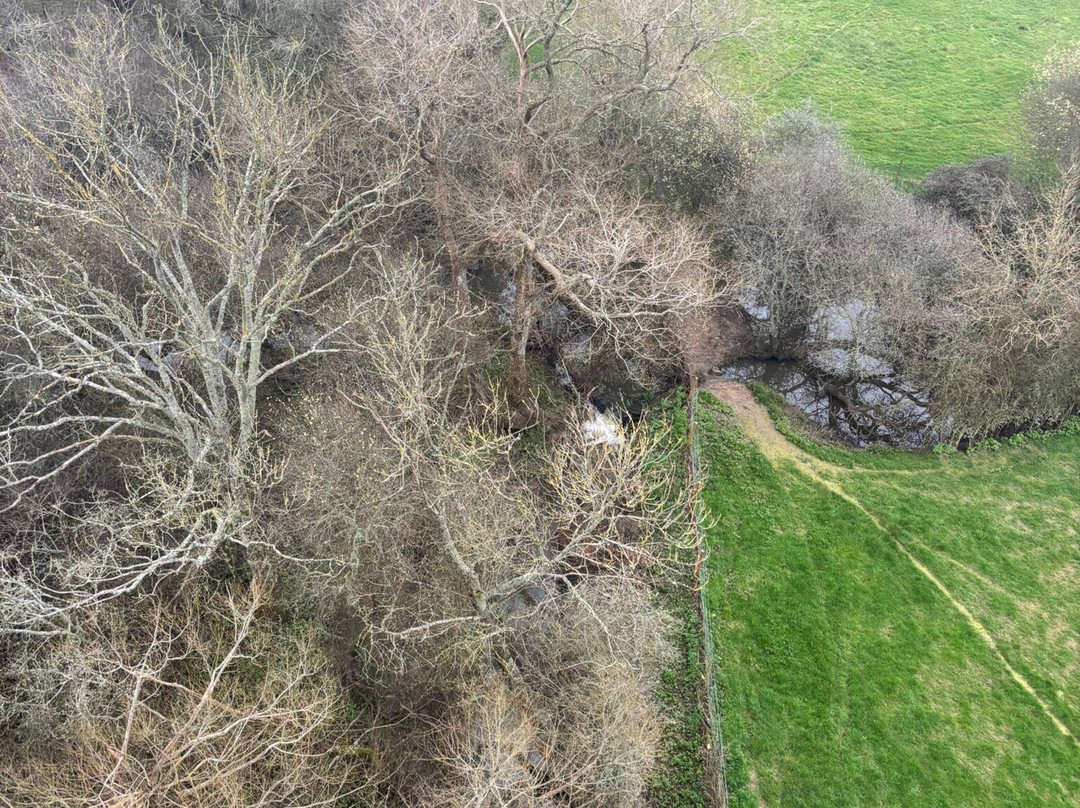 Virgin Balloon Flights - Guildford-吉尔福德必去景点