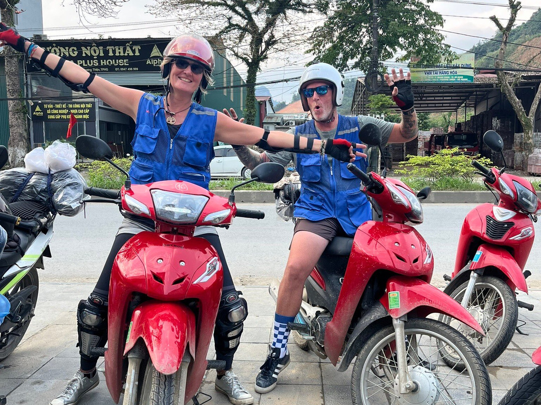 哈革良Yolo房屋和环游主图