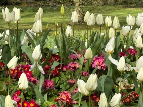 Jardin Public de Bayeux-巴约必去景点