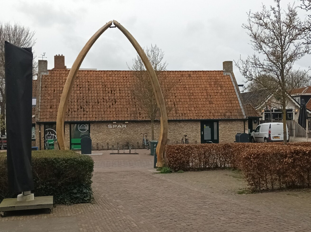 Whale Jaws-Schiermonnikoog必去景点