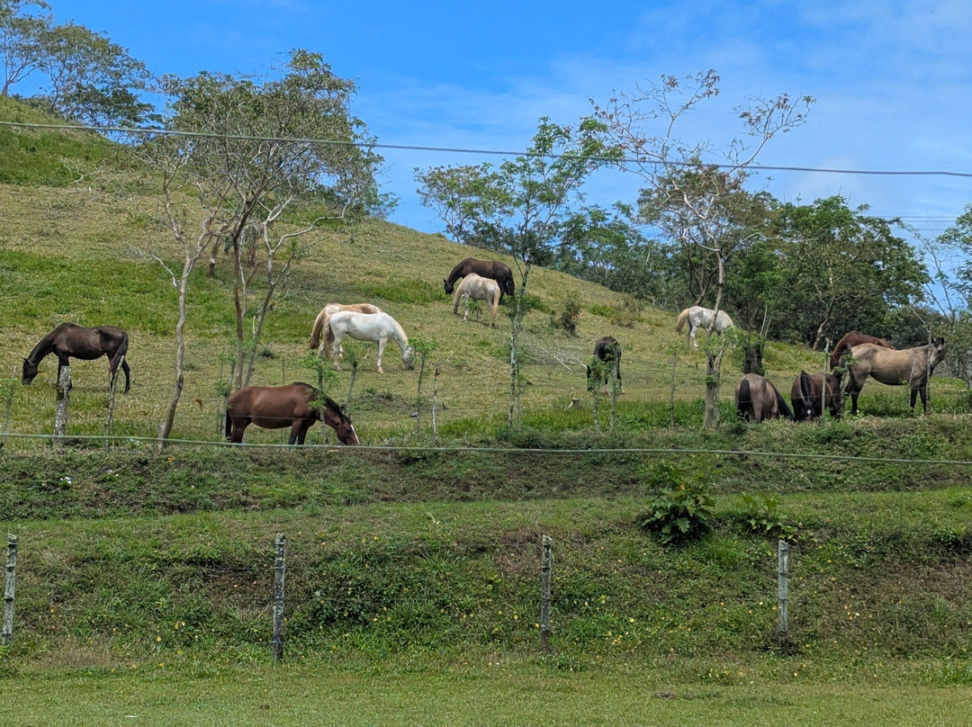Hacienda Monteclaro主图