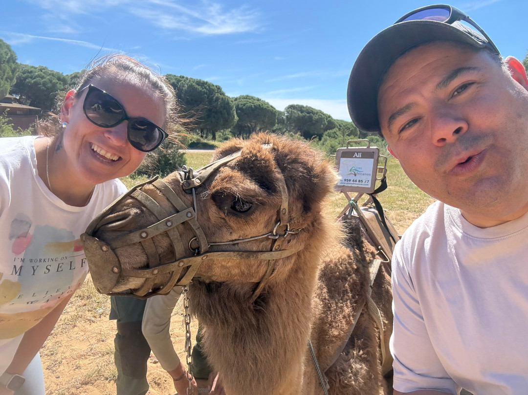 Aires Africanos-Matalascanas必去景点