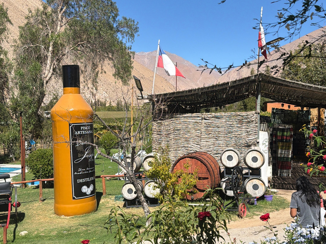 Doña Josefa de Elqui - Pisco Artesanal-Pisco Elqui必去景点