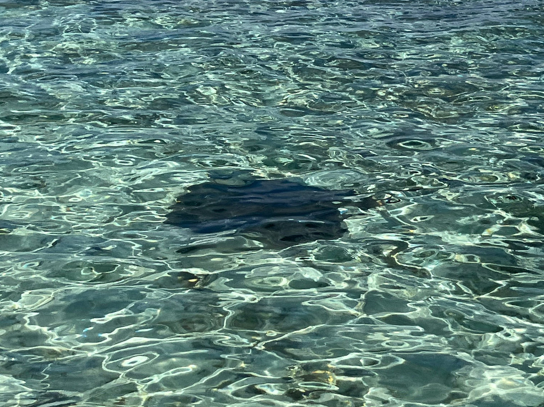 Ilot Gabriel Beach-Ilot Gabriel必去景点