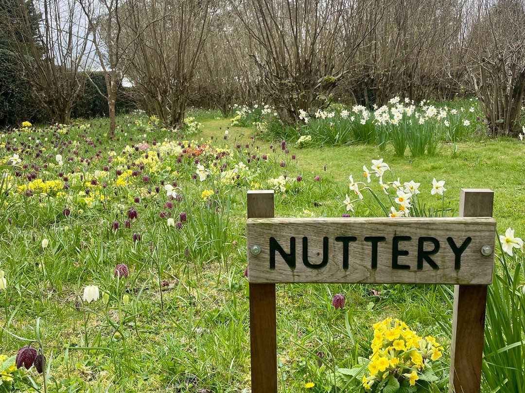 Belmont House and Gardens-Throwley必去景点