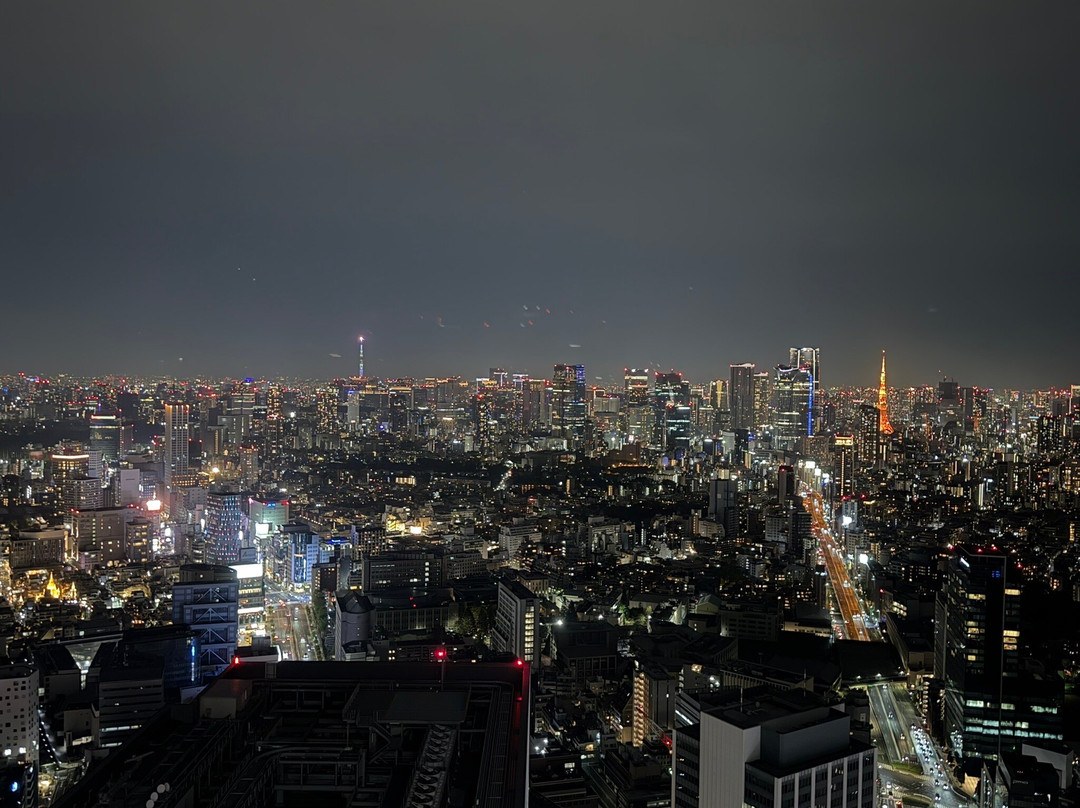 Shibuya Sky-涩谷区必去景点