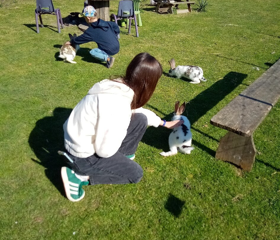 Ferme de La Cressonnière-Corme Ecluse必去景点