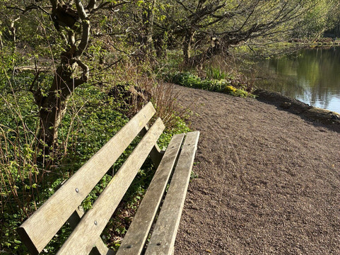 Jac P Thijssepark-阿姆斯特尔芬必去景点