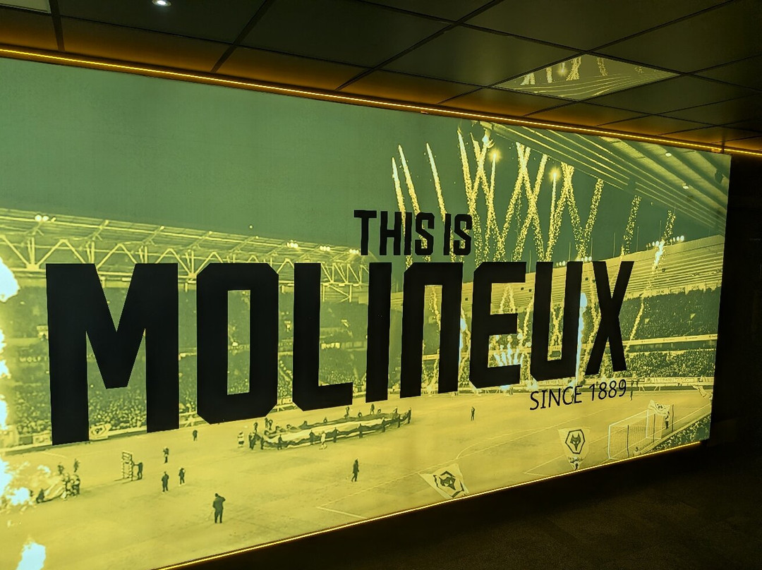 Wolves Museum & Stadium Tours-沃尔夫汉普顿必去景点