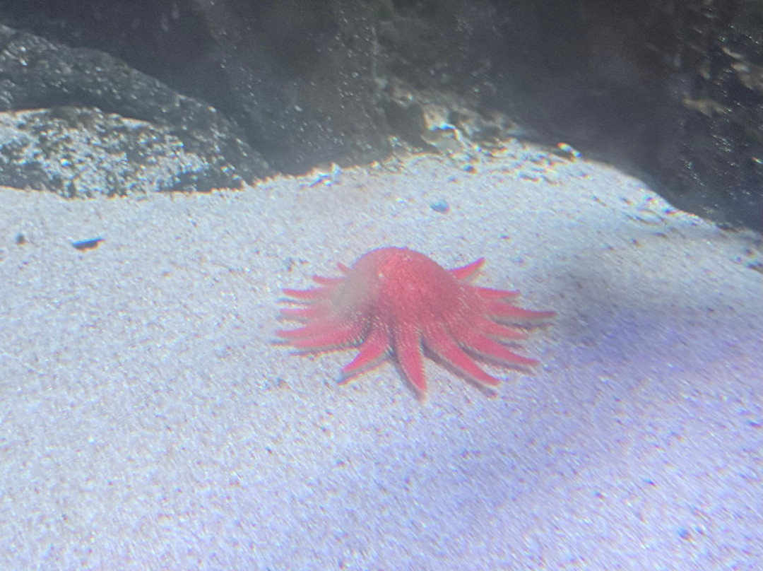 St Andrews Aquarium-圣安德鲁斯必去景点
