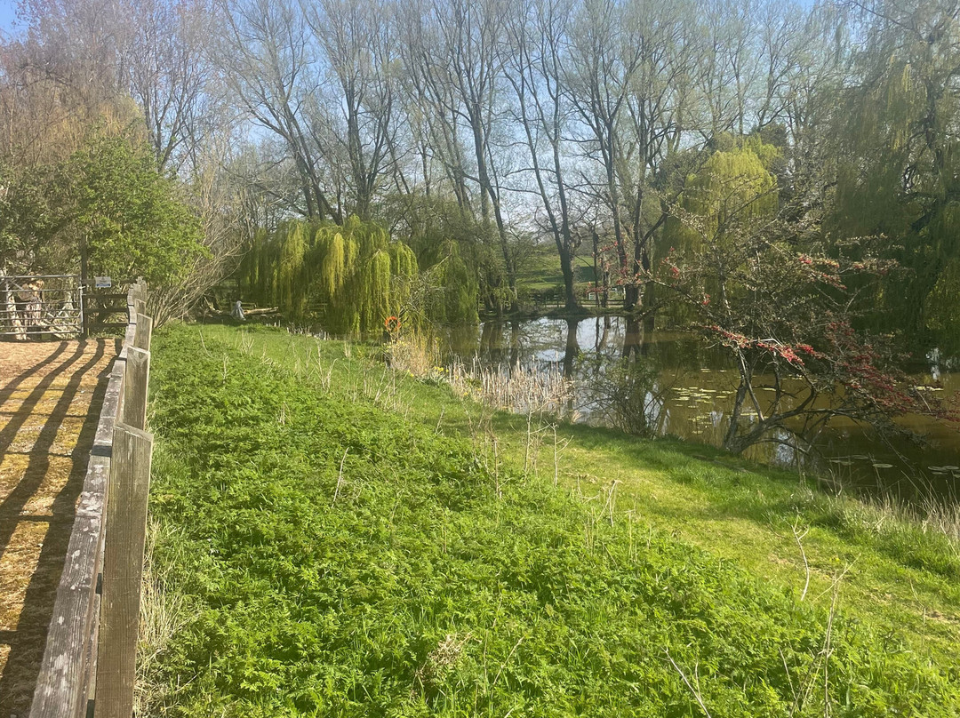 Lakemore Farm Park-克鲁郡必去景点