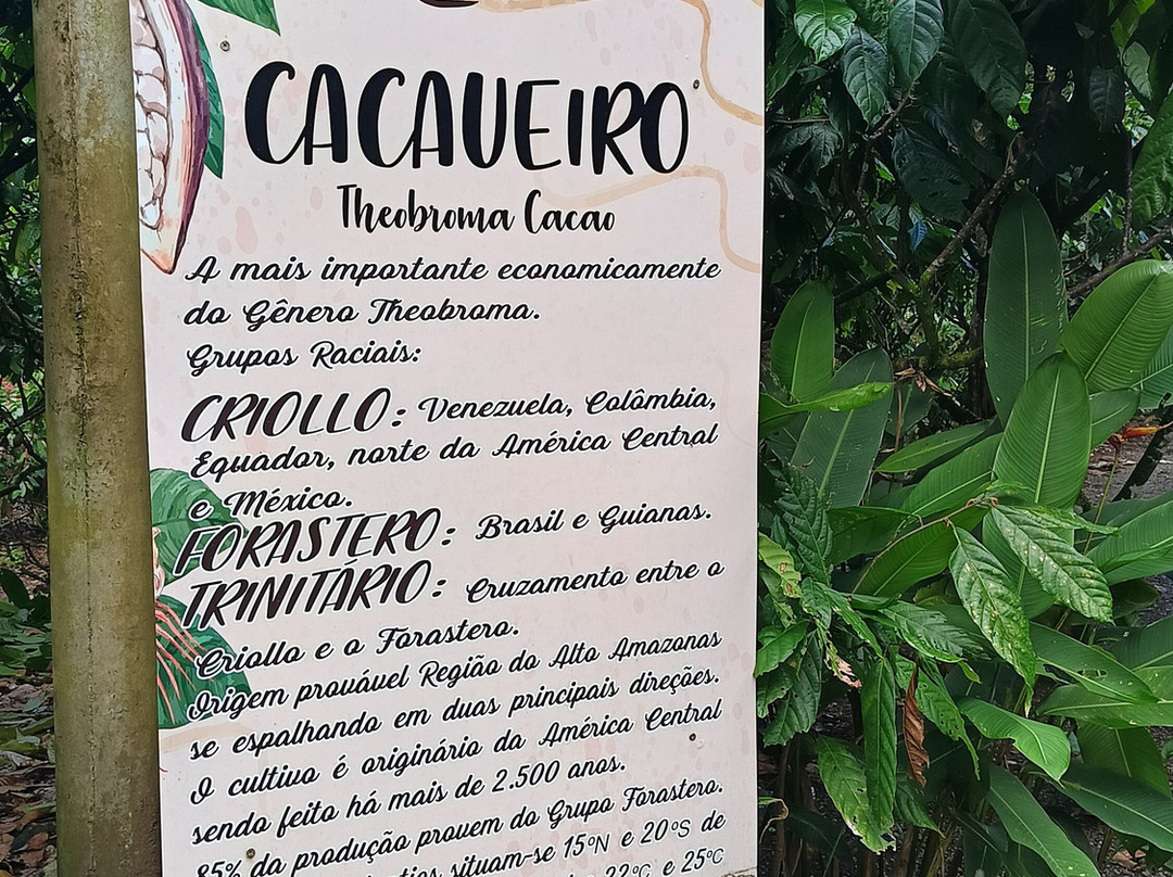 ilheus passeios-Ilheus必去景点