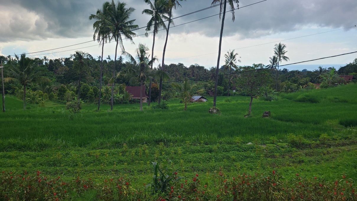 香缇天然全景酒店-官方