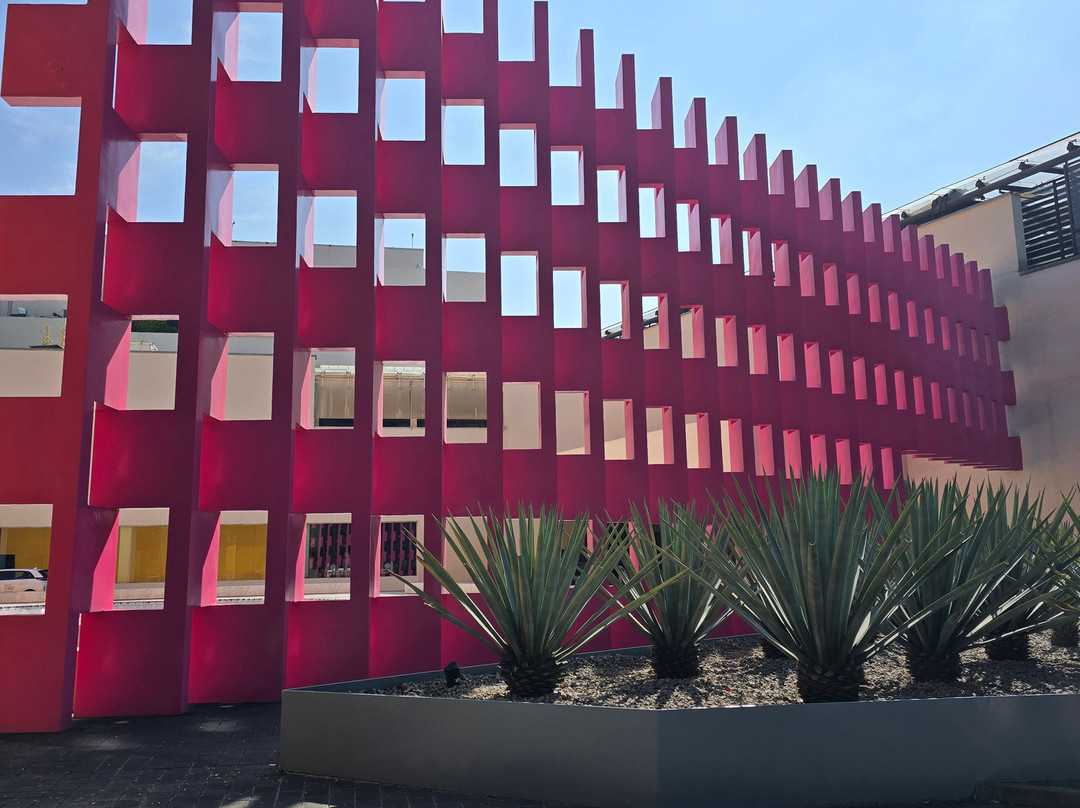 The Traveling Beetle-墨西哥城必去景点