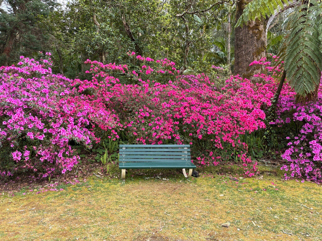 特拉诺斯花园酒店主图