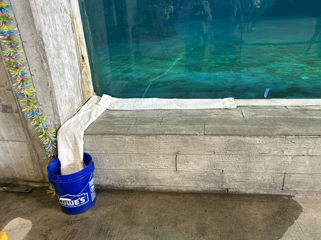 Clearwater Marine Aquarium-克利尔沃特必去景点